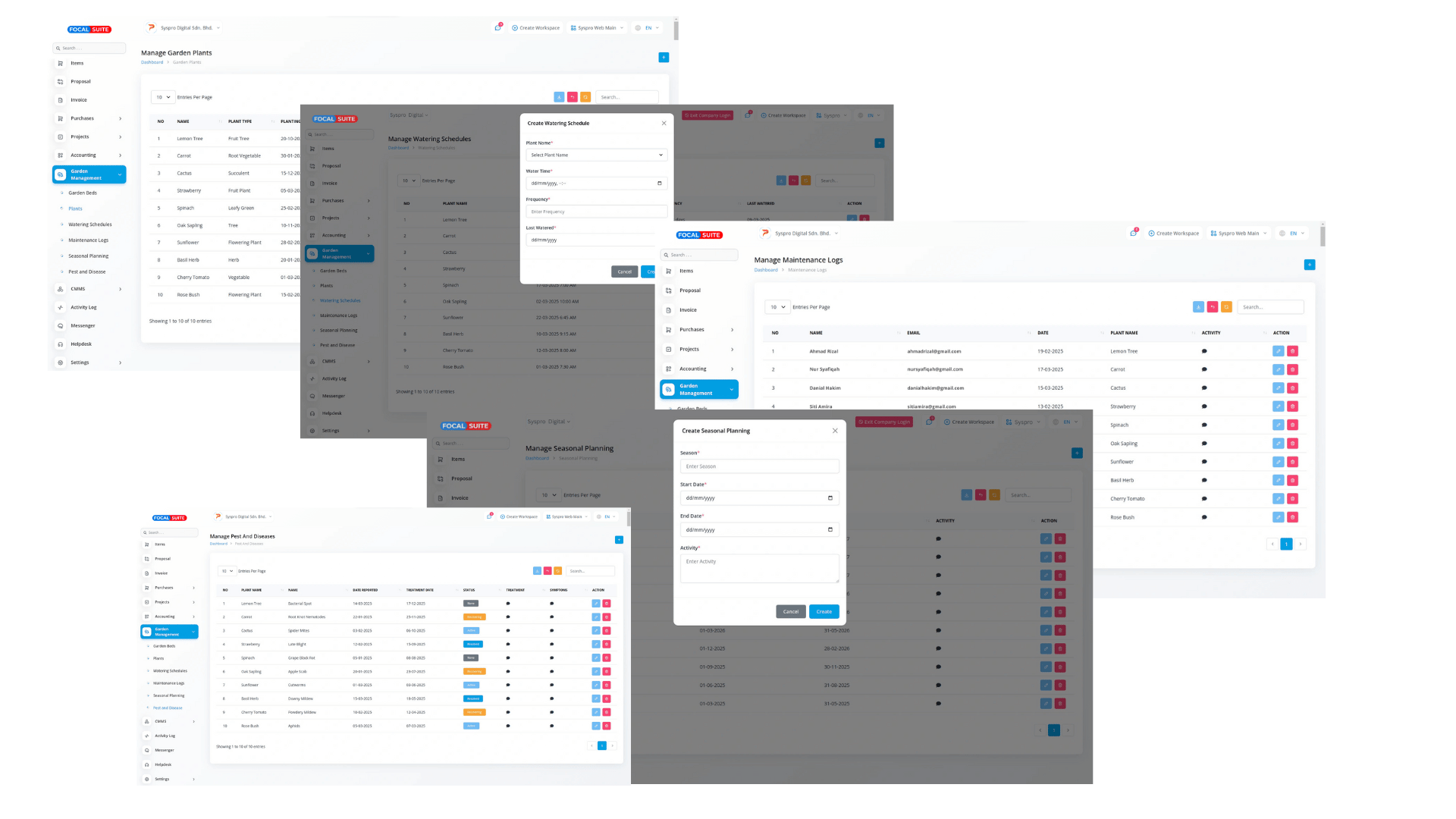 Organic Vegetable Box